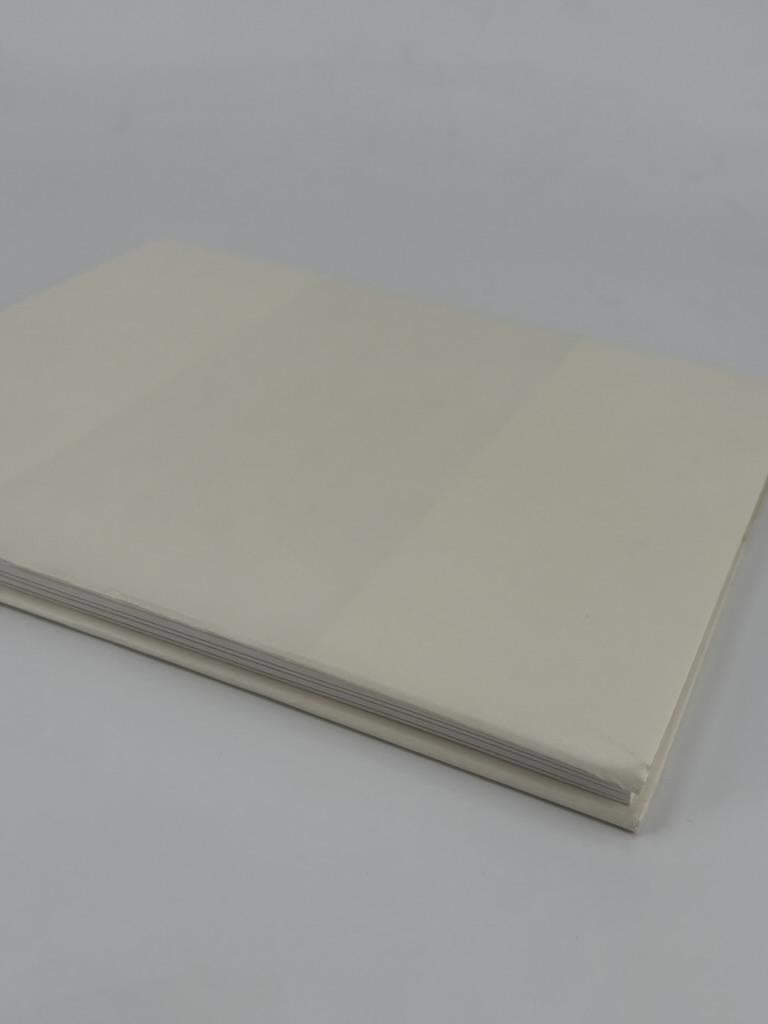 Suzan Frecon: Paper (Hardcover First Edition)
