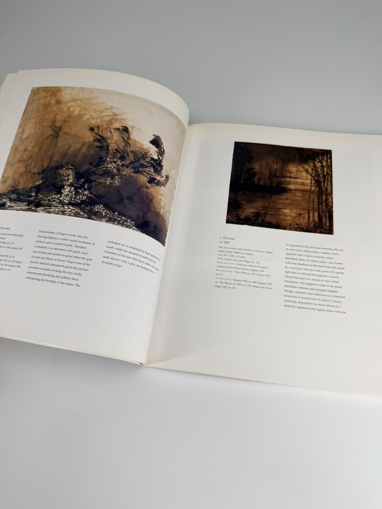 Shadows of a Hand: The Drawings of Victor Hugo