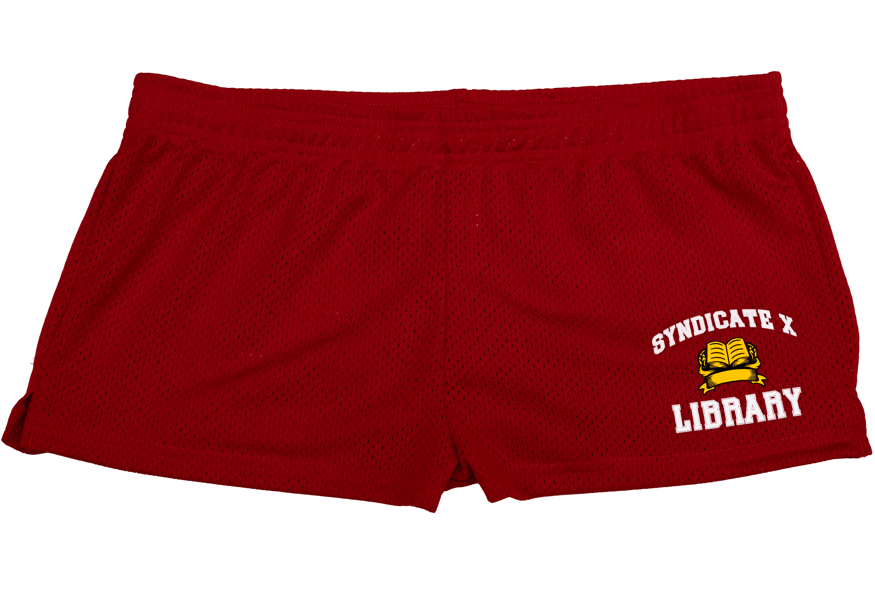 Plot Twist Mesh Shorts