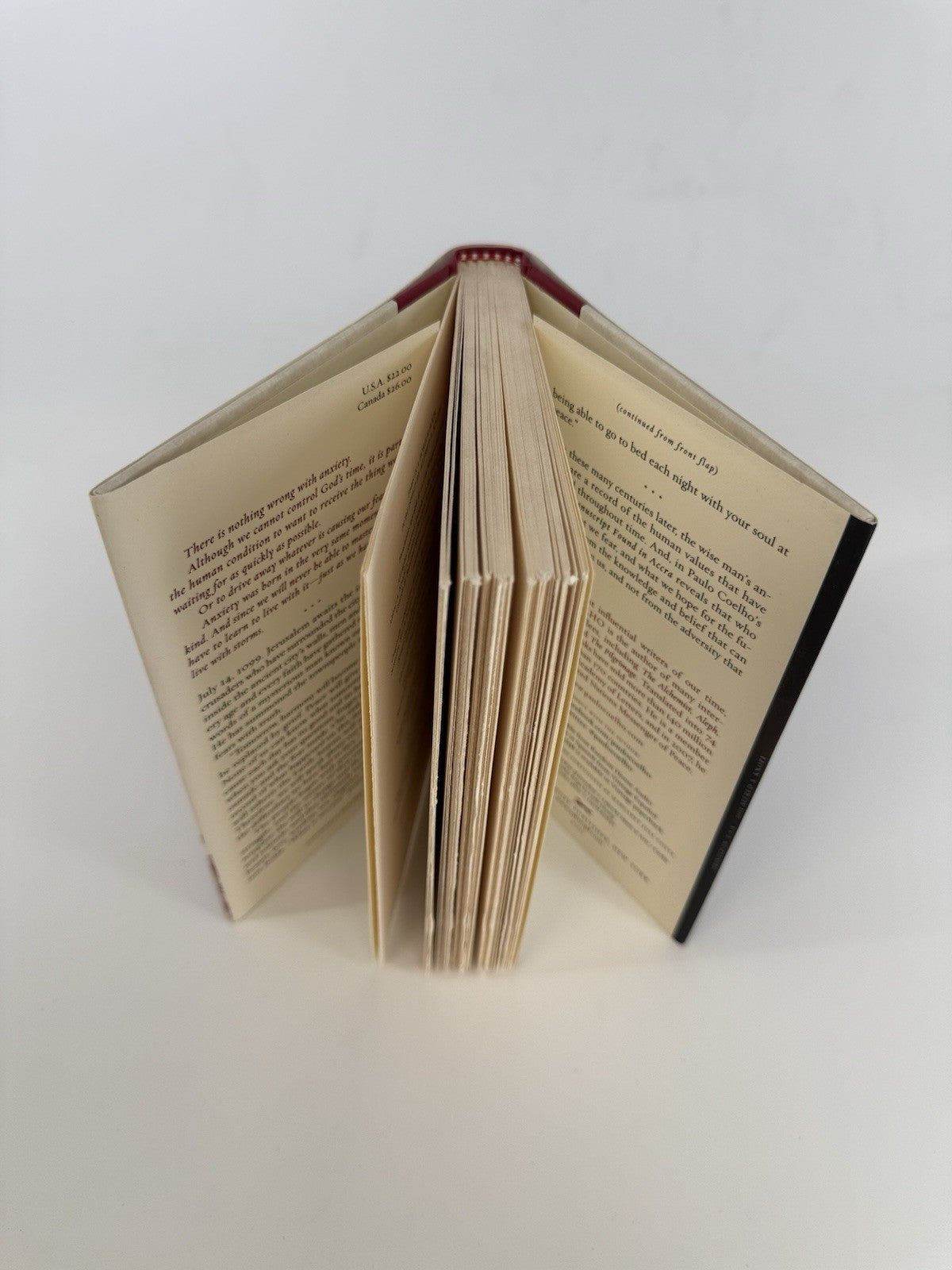 Manuscript Found in Accra by Coelho, Paulo