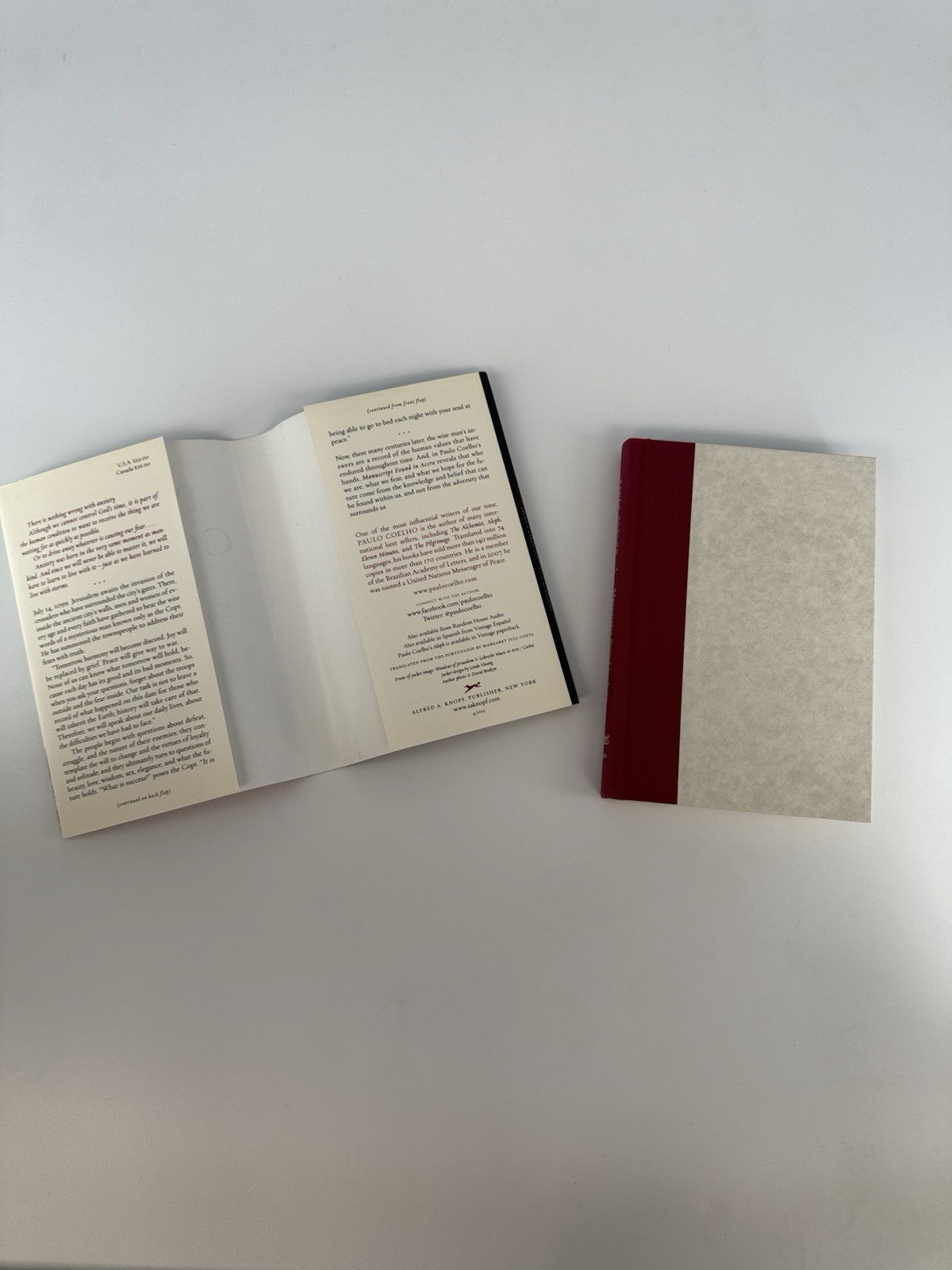 Manuscript Found in Accra by Coelho, Paulo